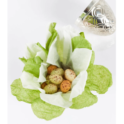 SUMMERBIRD - SILVER EGG CLASSIC