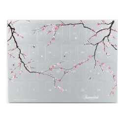 SUMMERBIRD - DOUBLE CHRISTMAS CALENDAR