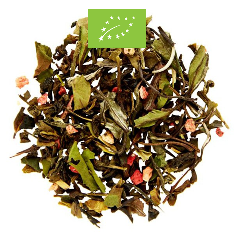 CHAPLON KO TIVOLI I DSE