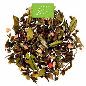 CHAPLON TIVOLI KO TE - Ls vgt