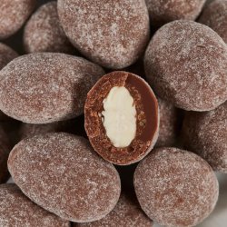 WINTER DRAGE - SUMMERBIRD